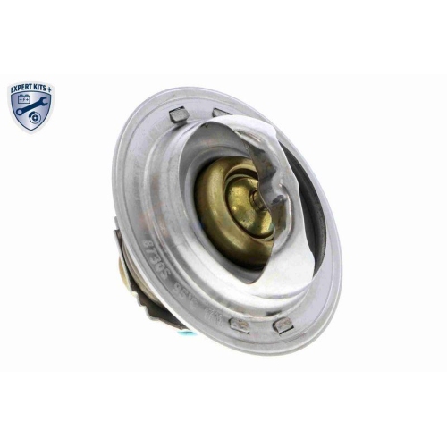 ACKOJA Thermostat, K&uuml;hlmittel EXPERT KITS + A38-99-0015