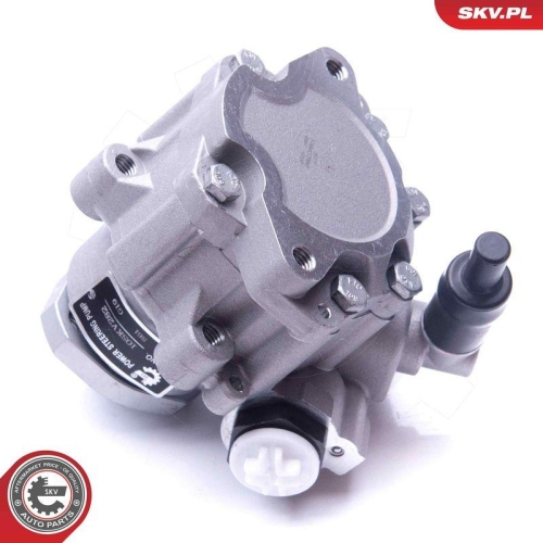 ESEN SKV Hydraulikpumpe, Lenkung 10SKV282