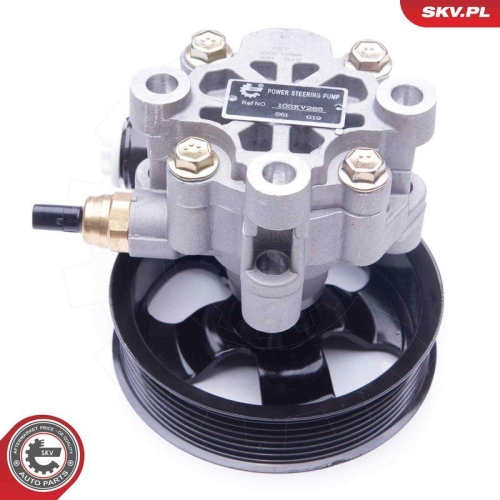 ESEN SKV Hydraulikpumpe, Lenkung 10SKV285