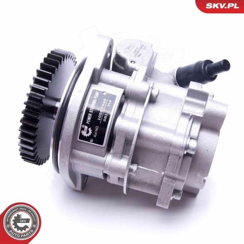 ESEN SKV Hydraulikpumpe, Lenkung 10SKV289