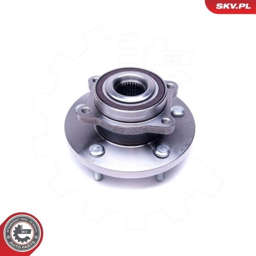 ESEN SKV Radlagersatz 29SKV393