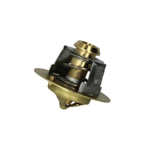 THERMOTEC Thermostat, K&uuml;hlmittel D2DA003TT