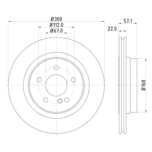 HELLA Bremsscheibe PRO High Carbon 8DD 355 129-531