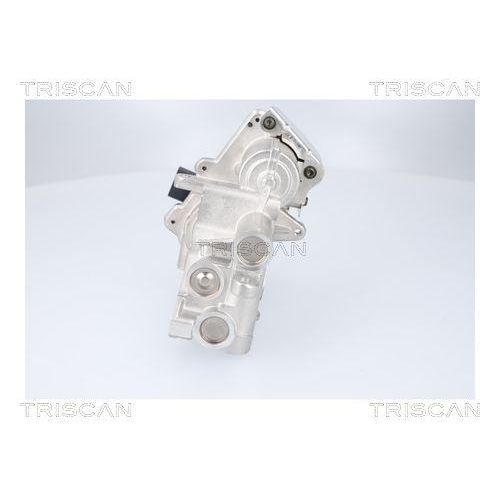 TRISCAN AGR-Ventil 8813 23041
