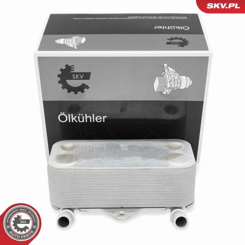 ESEN SKV &Ouml;lk&uuml;hler, Motor&ouml;l 31SKV322