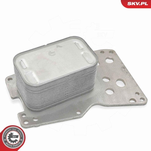ESEN SKV &Ouml;lk&uuml;hler, Motor&ouml;l 31SKV332