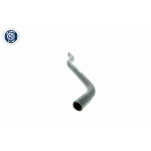 VAICO K&uuml;hlerschlauch Q+, Erstausr&uuml;sterqualit&auml;t V40-1354