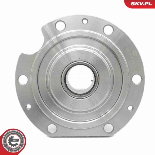 ESEN SKV Radlagersatz 29SKV568