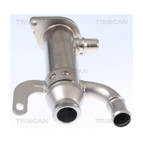 TRISCAN K&uuml;hler, Abgasr&uuml;ckf&uuml;hrung 8813 10109