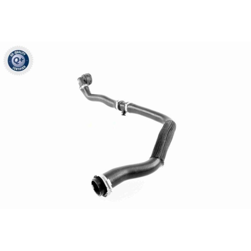 VAICO K&uuml;hlerschlauch Q+, Erstausr&uuml;sterqualit&auml;t