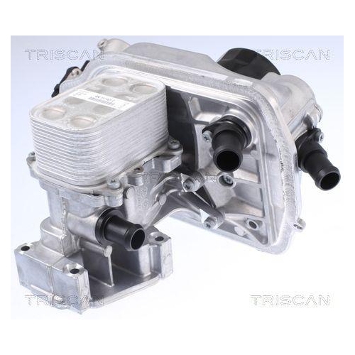 TRISCAN K&uuml;hler, Abgasr&uuml;ckf&uuml;hrung 8813 29323