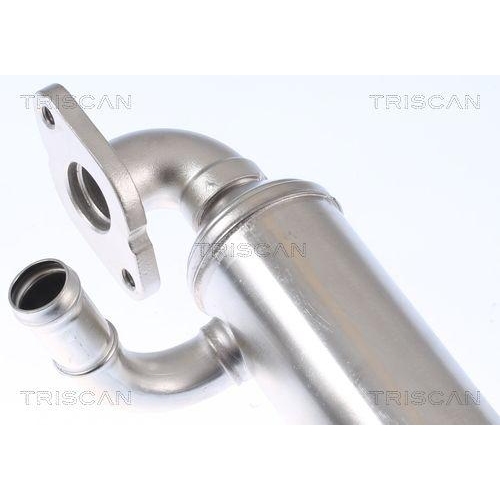 TRISCAN K&uuml;hler, Abgasr&uuml;ckf&uuml;hrung 8813 29343