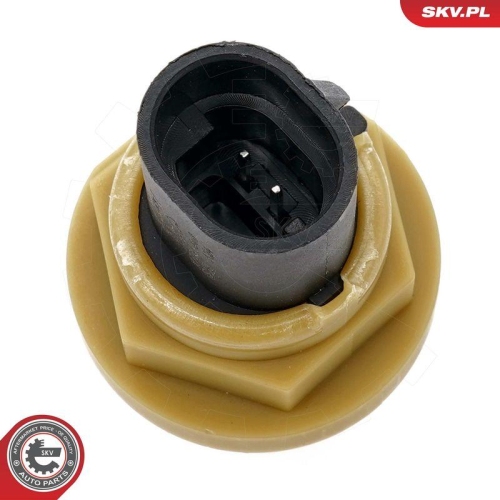ESEN SKV Sensor, Geschwindigkeit/Drehzahl 17SKV848