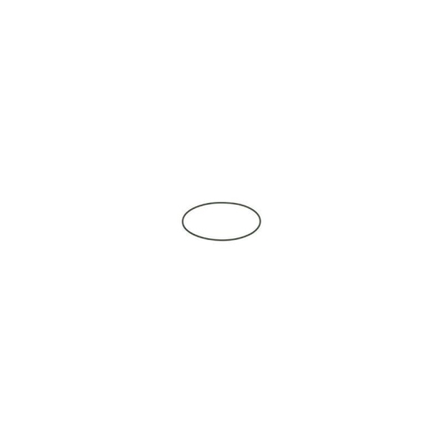 BOSCH Gummiring F 00N 201 204