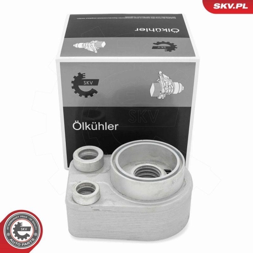 ESEN SKV &Ouml;lk&uuml;hler, Motor&ouml;l 31SKV371