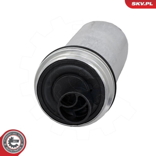 ESEN SKV Kraftstoffpumpe 02SKV253