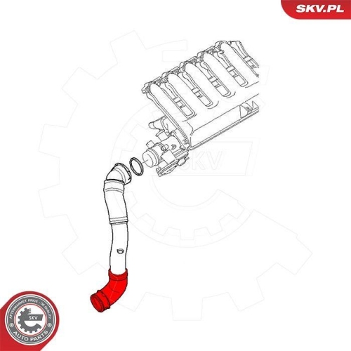 ESEN SKV Ladeluftschlauch