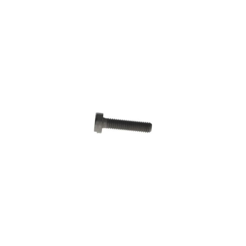 BOSCH Schraube F 00N 202 190
