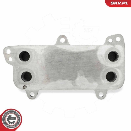 ESEN SKV &Ouml;lk&uuml;hler, Motor&ouml;l 31SKV272