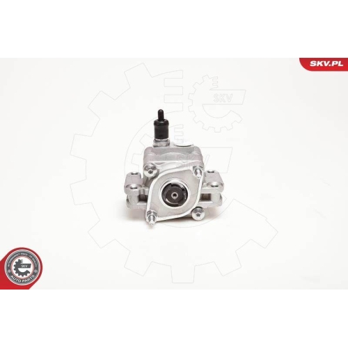 ESEN SKV Hydraulikpumpe, Lenkung 10SKV109