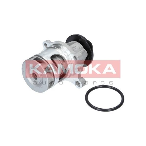 KAMOKA Wasserpumpe, Motorkühlung T0056