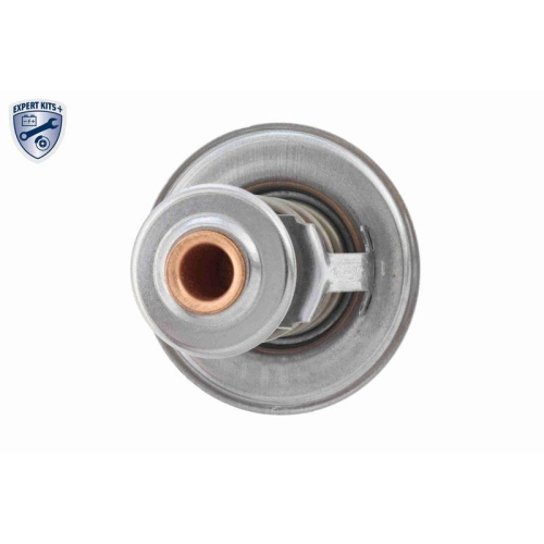 ACKOJA Thermostat, K&uuml;hlmittel EXPERT KITS + A52-99-0025