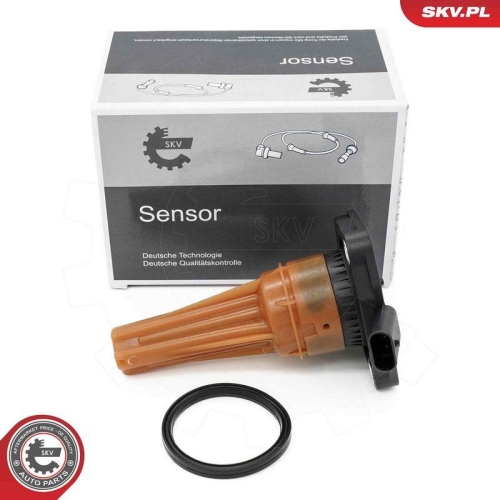 ESEN SKV Sensor, Motor&ouml;lstand 17SKV942