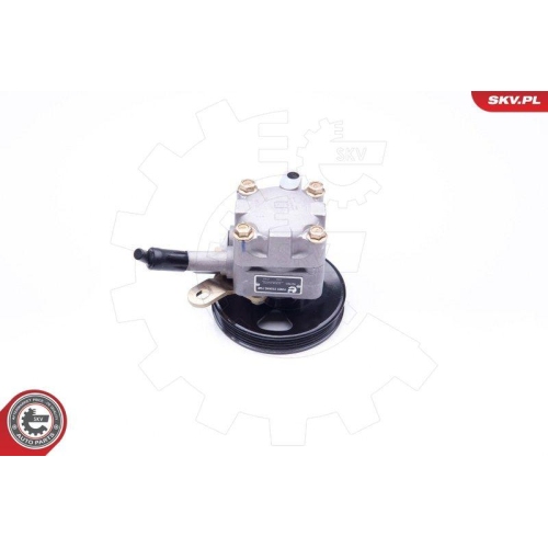 ESEN SKV Hydraulikpumpe, Lenkung 10SKV276