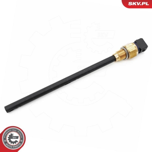 ESEN SKV Sensor, Motor&ouml;lstand 17SKV939