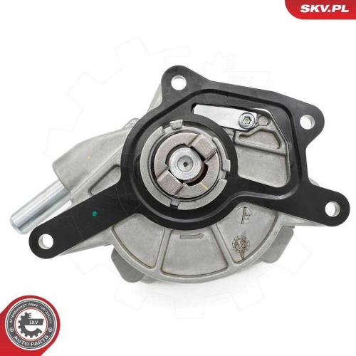ESEN SKV Unterdruckpumpe, Bremsanlage 18SKV073