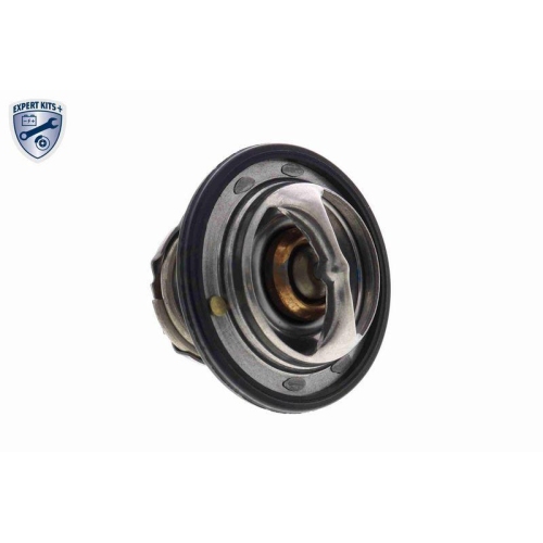 ACKOJA Thermostat, K&uuml;hlmittel EXPERT KITS + A63-99-0004