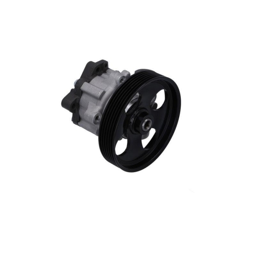 KAMOKA Hydraulikpumpe, Lenkung PP068