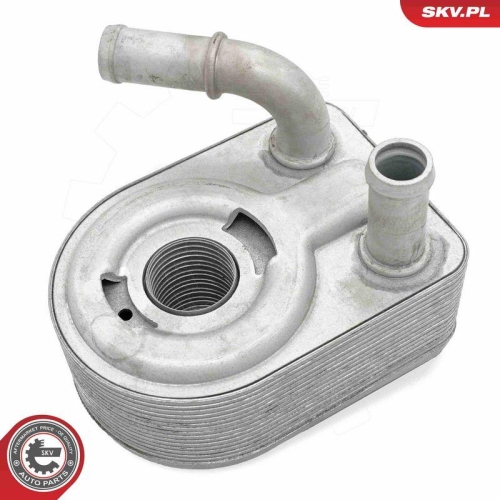 ESEN SKV &Ouml;lk&uuml;hler, Motor&ouml;l 31SKV303