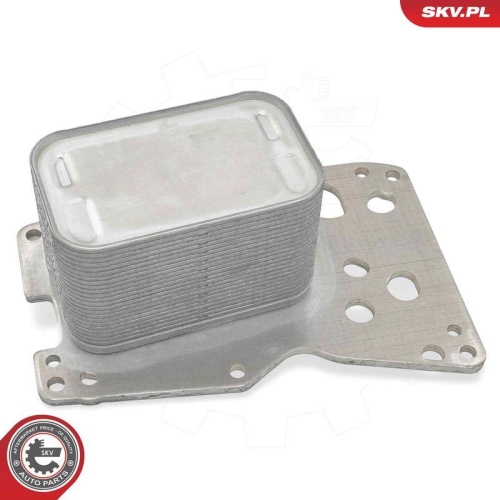 ESEN SKV &Ouml;lk&uuml;hler, Motor&ouml;l 31SKV378