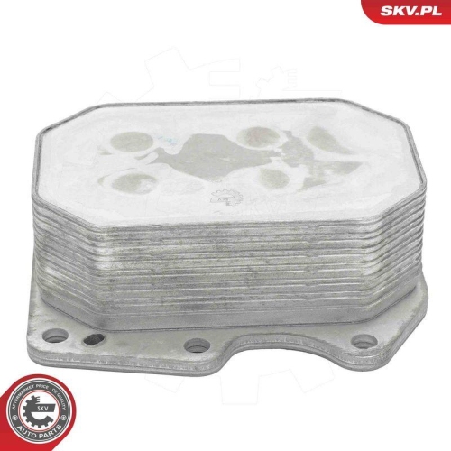 ESEN SKV &Ouml;lk&uuml;hler, Motor&ouml;l 31SKV383