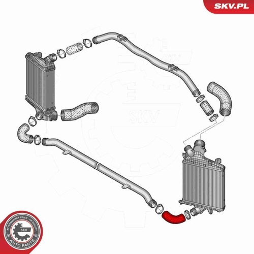ESEN SKV Ladeluftschlauch 43SKV489