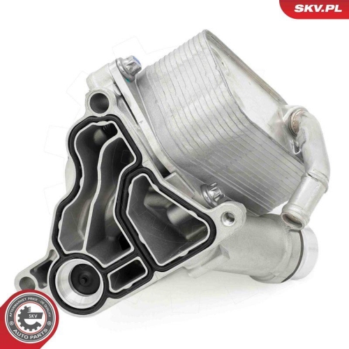ESEN SKV &Ouml;lk&uuml;hler, Motor&ouml;l 31SKV442