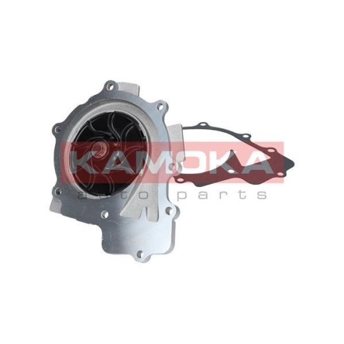 KAMOKA Wasserpumpe, Motorkühlung T0200