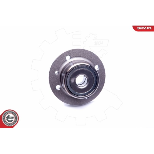 ESEN SKV Radlagersatz 29SKV196
