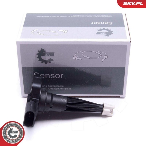 ESEN SKV Sensor, Motor&ouml;lstand 17SKV746