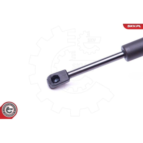 ESEN SKV Gasfeder, Koffer-/Laderaum