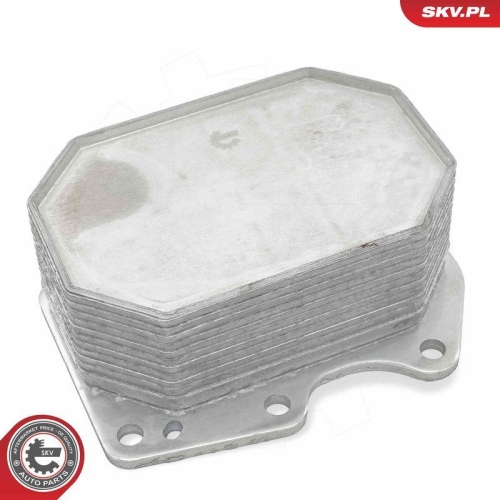 ESEN SKV &Ouml;lk&uuml;hler, Motor&ouml;l 31SKV320