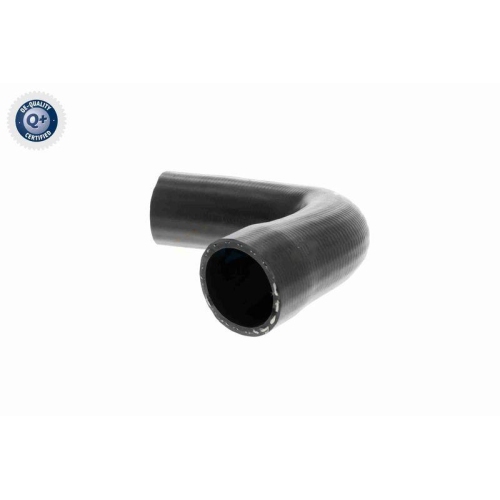 VAICO Ladeluftschlauch Q+, Erstausrüsterqualität V22-1100