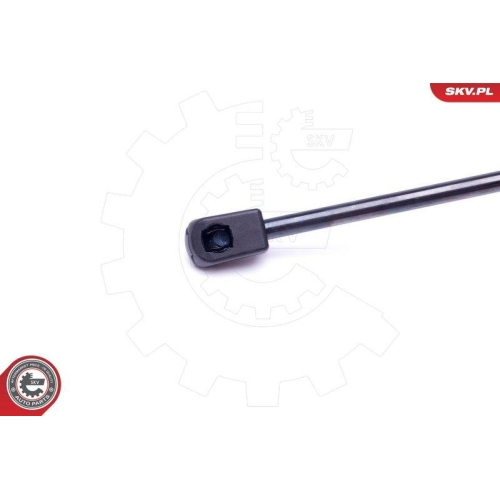 ESEN SKV Gasfeder, Koffer-/Laderaum