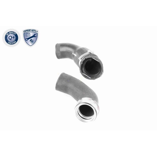 VAICO Ladeluftschlauch EXPERT KITS + V20-2970