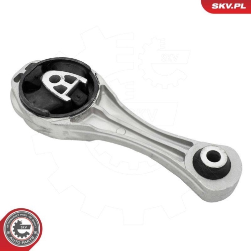ESEN SKV Lagerung, Motor 75SKV081