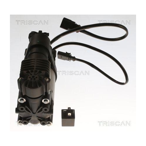 TRISCAN Kompressor, Druckluftanlage
