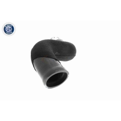 VAICO Ladeluftschlauch Q+, Erstausrüsterqualität