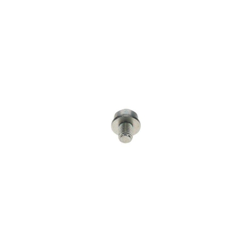 BOSCH Schraube F 002 D13 663