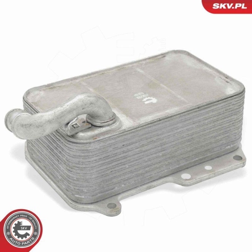 ESEN SKV &Ouml;lk&uuml;hler, Motor&ouml;l 31SKV359